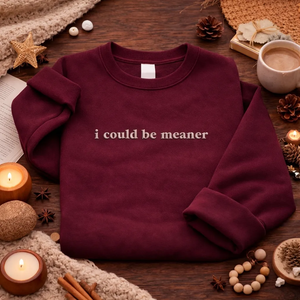 Embroidered I Could Be Meaner Sweatshirt, Sassy Quote Top