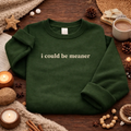 Embroidered I Could Be Meaner Sweatshirt, Sassy Quote Top